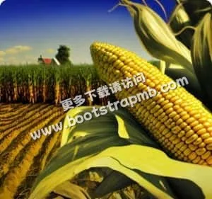 以专业精神，守护体育的纯粹 - mk体育kangyun